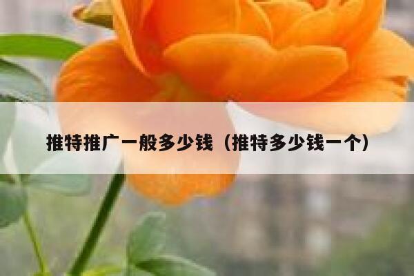 推特推广一般多少钱（推特多少钱一个） 第1张