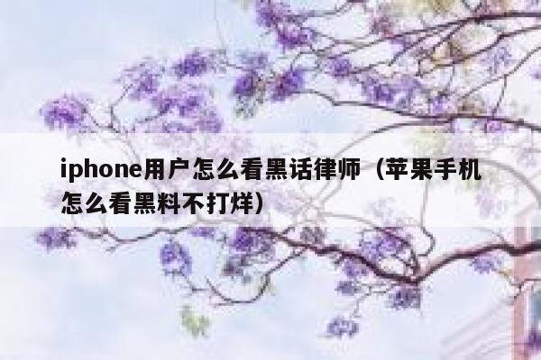 iphone用户怎么看黑话律师（苹果手机怎么看黑料不打烊） 第1张