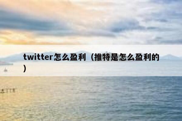 twitter怎么盈利（推特是怎么盈利的） 第1张