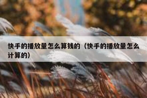 快手的播放量怎么算钱的（快手的播放量怎么计算的） 第1张
