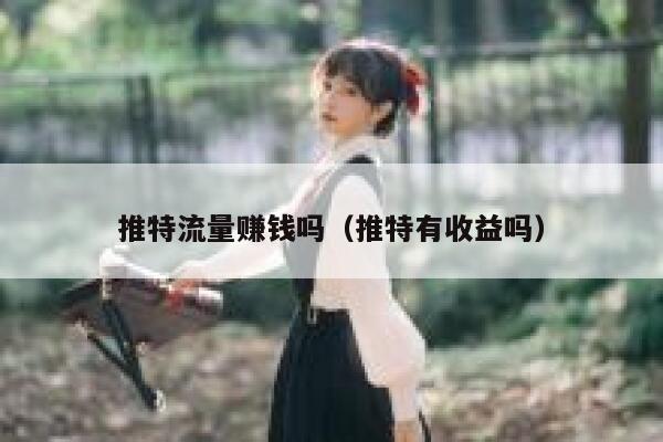 推特流量赚钱吗（推特有收益吗） 第1张