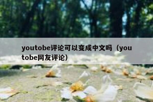 youtobe评论可以变成中文吗（youtobe网友评论） 第1张