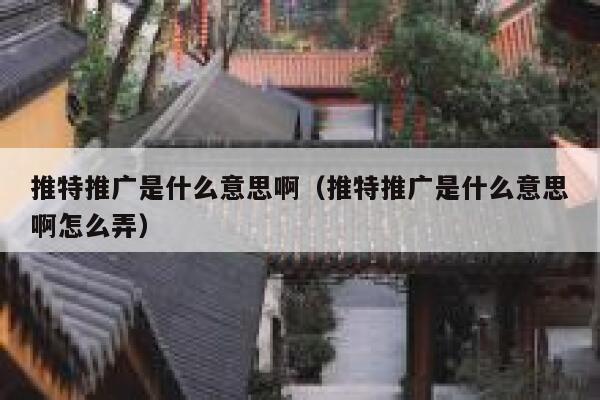 推特推广是什么意思啊（推特推广是什么意思啊怎么弄） 第1张