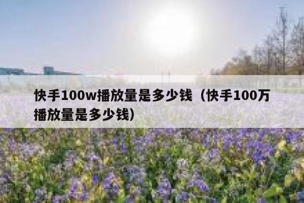 快手100w播放量是多少钱（快手100万播放量是多少钱） 第1张