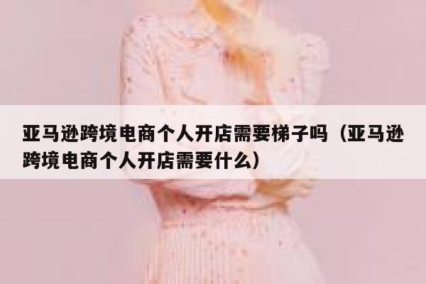 亚马逊跨境电商个人开店需要梯子吗(亚马逊跨境电商个人开店需要什么) 第1张 亚马逊跨境电商个人开店需要梯子吗(亚马逊跨境电商个人开店需要什么) 第1张