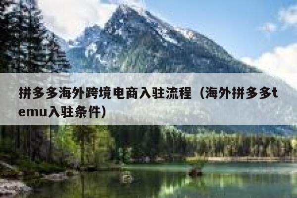 拼多多海外跨境电商入驻流程(海外拼多多temu入驻条件) 第1张 拼多多海外跨境电商入驻流程(海外拼多多temu入驻条件) 第1张