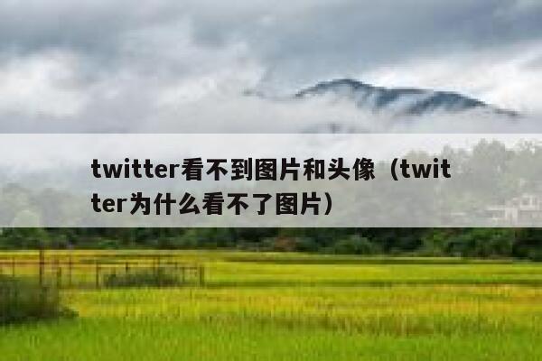 twitter看不到图片和头像（twitter为什么看不了图片） 第1张