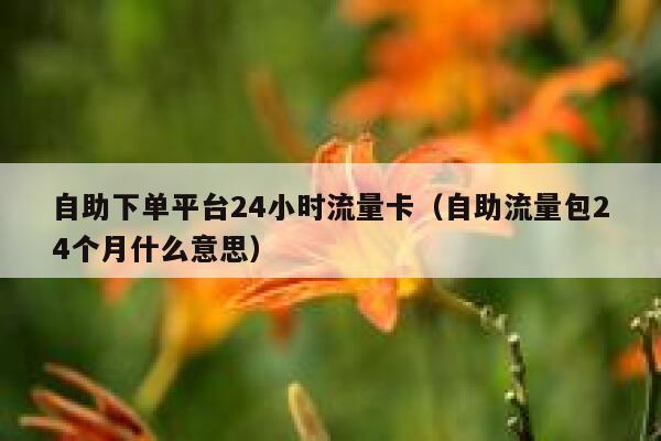 自助下单平台24小时流量卡（自助流量包24个月什么意思） 第1张