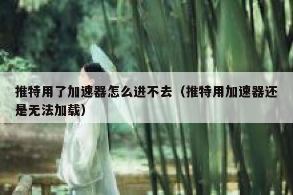 推特用了加速器怎么进不去（推特用加速器还是无法加载） 第1张