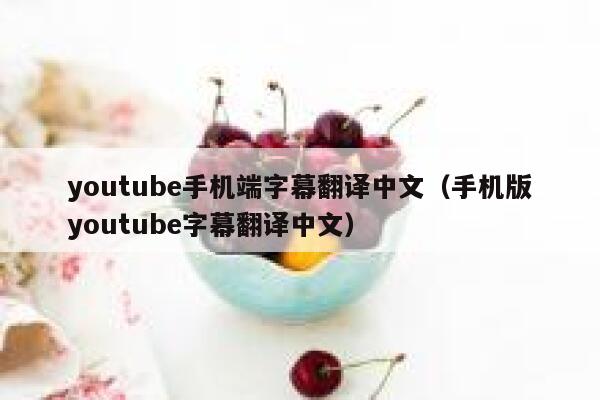 youtube手机端字幕翻译中文(手机版youtube字幕翻译中文) 第1张 youtube手机端字幕翻译中文(手机版youtube字幕翻译中文) 第1张