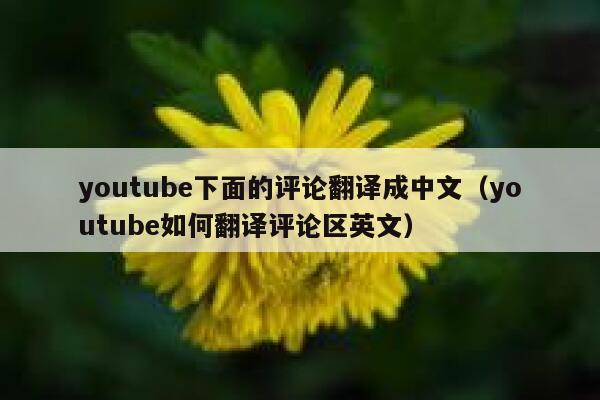 youtube下面的评论翻译成中文（youtube如何翻译评论区英文） 第1张