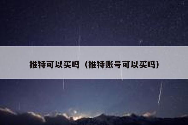 推特可以买吗（推特账号可以买吗） 第1张