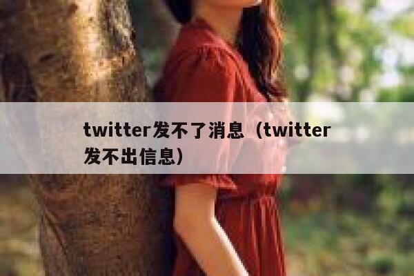 twitter发不了消息（twitter发不出信息） 第1张