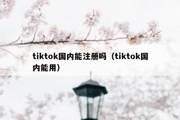 tiktok国内能注册吗(tiktok国内能用) 第1张 tiktok国内能注册吗(tiktok国内能用) 第1张