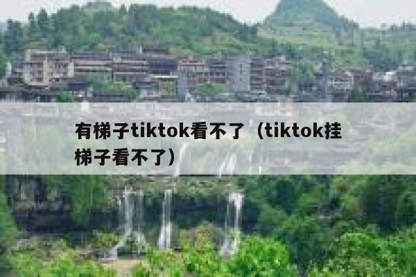 有梯子tiktok看不了（tiktok挂梯子看不了） 第1张