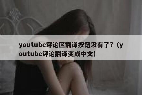 youtube评论区翻译按钮没有了?（youtube评论翻译变成中文） 第1张