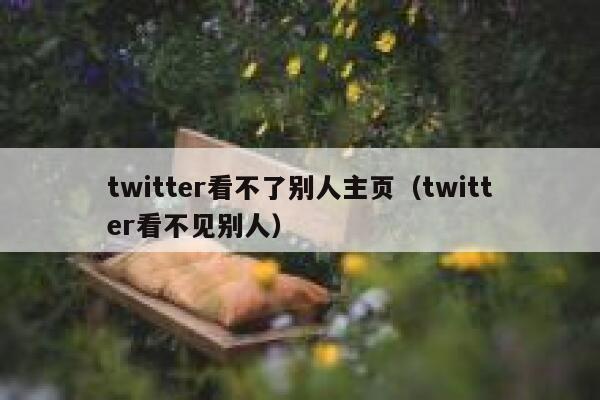 twitter看不了别人主页（twitter看不见别人） 第1张