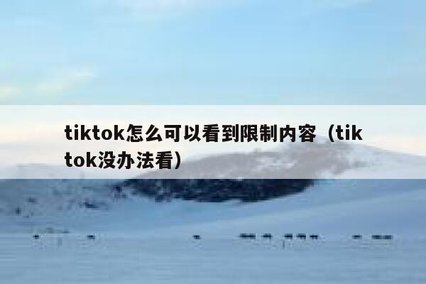 tiktok怎么可以看到限制内容（tiktok没办法看） 第1张