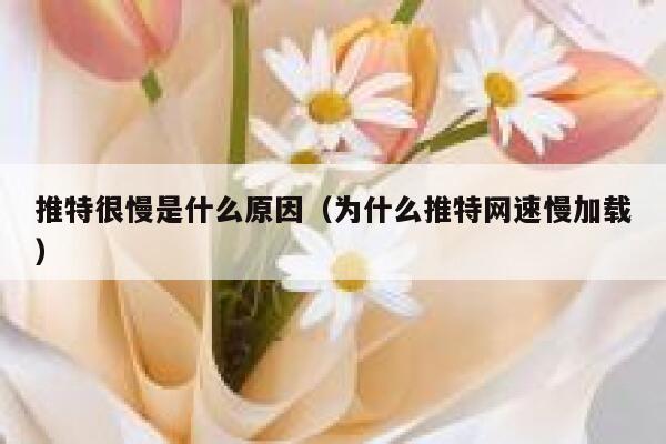 推特很慢是什么原因（为什么推特网速慢加载） 第1张