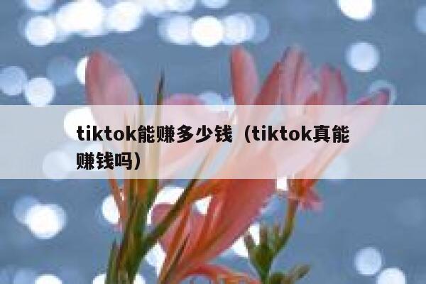 tiktok能赚多少钱（tiktok真能赚钱吗） 第1张