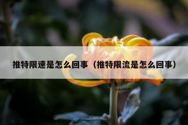 推特限速是怎么回事(推特限流是怎么回事) 第1张 推特限速是怎么回事(推特限流是怎么回事) 第1张