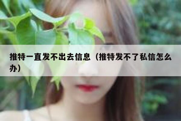 推特一直发不出去信息(推特发不了私信怎么办) 第1张 推特一直发不出去信息(推特发不了私信怎么办) 第1张