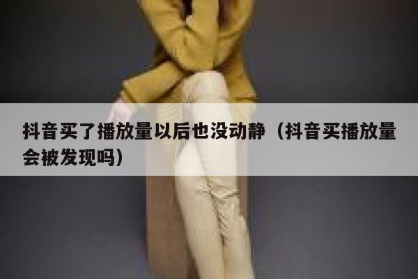 抖音买了播放量以后也没动静(抖音买播放量会被发现吗) 第1张 抖音买了播放量以后也没动静(抖音买播放量会被发现吗) 第1张