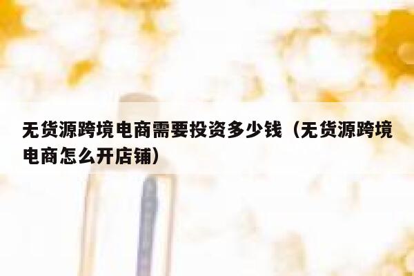 无货源跨境电商需要投资多少钱(无货源跨境电商怎么开店铺) 第1张 无货源跨境电商需要投资多少钱(无货源跨境电商怎么开店铺) 第1张