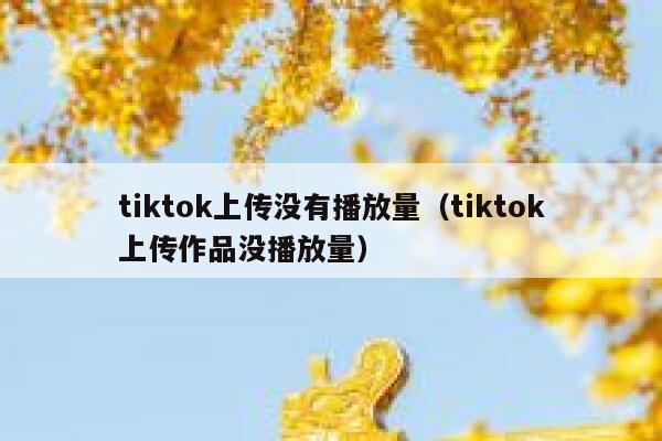 tiktok上传没有播放量(tiktok上传作品没播放量) 第1张 tiktok上传没有播放量(tiktok上传作品没播放量) 第1张