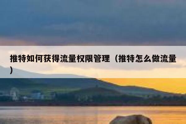 推特如何获得流量权限管理（推特怎么做流量） 第1张