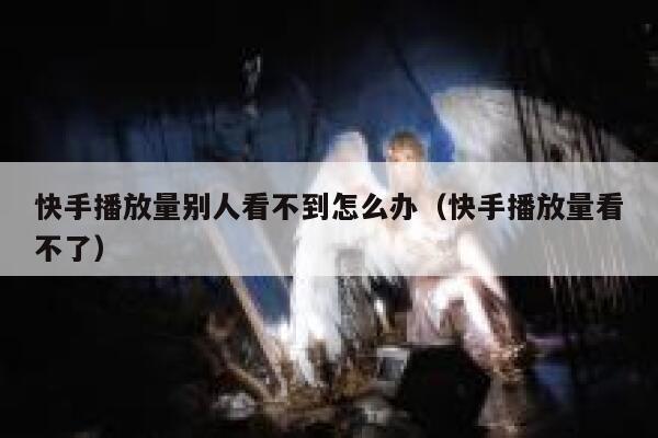 快手播放量别人看不到怎么办（快手播放量看不了） 第1张