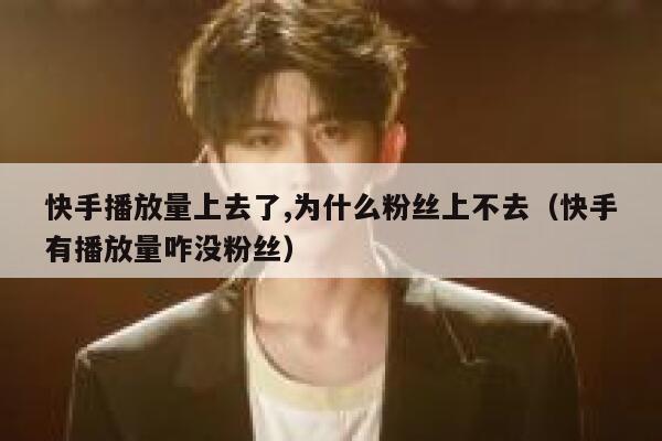 快手播放量上去了,为什么粉丝上不去(快手有播放量咋没粉丝) 第1张 快手播放量上去了,为什么粉丝上不去(快手有播放量咋没粉丝) 第1张