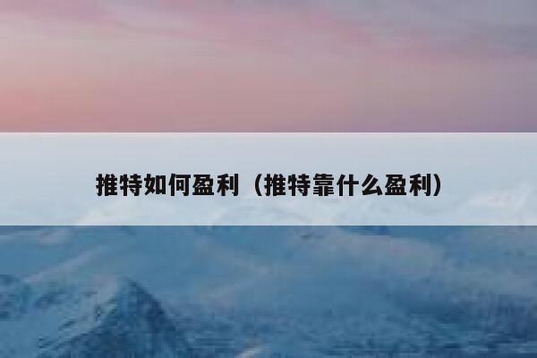 推特如何盈利（推特靠什么盈利） 第1张