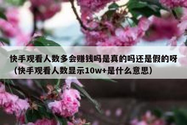 快手观看人数多会赚钱吗是真的吗还是假的呀(快手观看人数显示10w+是什么意思) 第1张 快手观看人数多会赚钱吗是真的吗还是假的呀(快手观看人数显示10w+是什么意思) 第1张