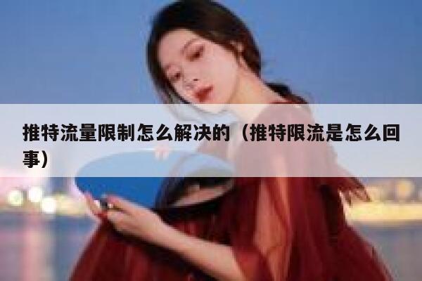 推特流量限制怎么解决的（推特限流是怎么回事） 第1张
