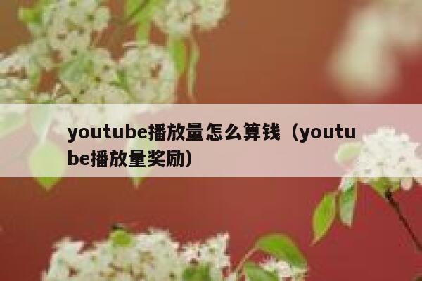 youtube播放量怎么算钱（youtube播放量奖励） 第1张