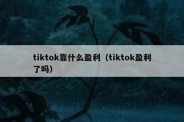 tiktok靠什么盈利（tiktok盈利了吗） 第1张