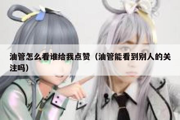 油管怎么看谁给我点赞（油管能看到别人的关注吗） 第1张