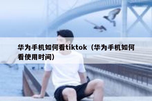 华为手机如何看tiktok（华为手机如何看使用时间） 第1张