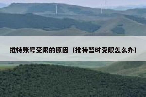 推特账号受限的原因（推特暂时受限怎么办） 第1张