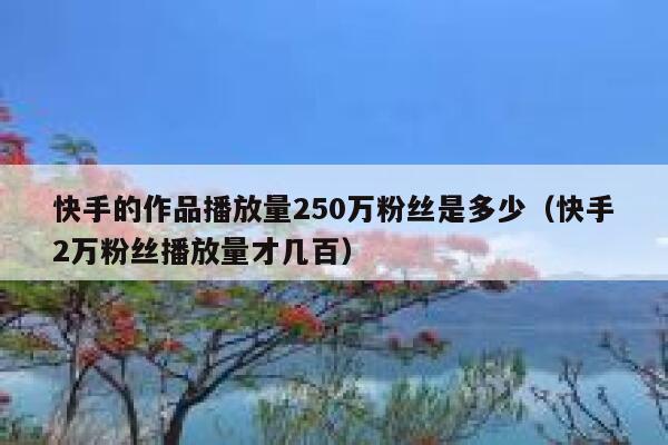 快手的作品播放量250万粉丝是多少(快手2万粉丝播放量才几百) 第1张 快手的作品播放量250万粉丝是多少(快手2万粉丝播放量才几百) 第1张