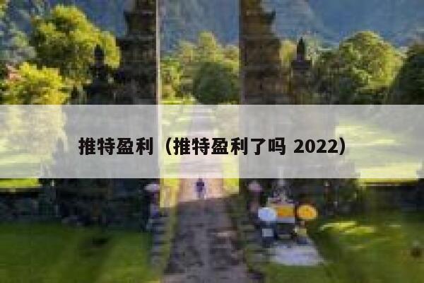 推特盈利（推特盈利了吗 2022） 第1张