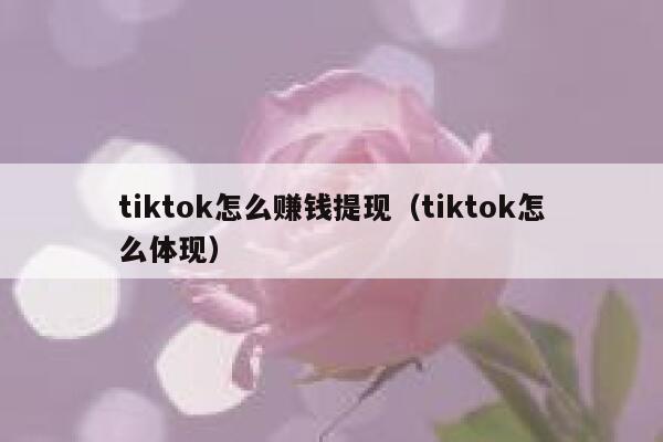 tiktok怎么赚钱提现（tiktok怎么体现） 第1张