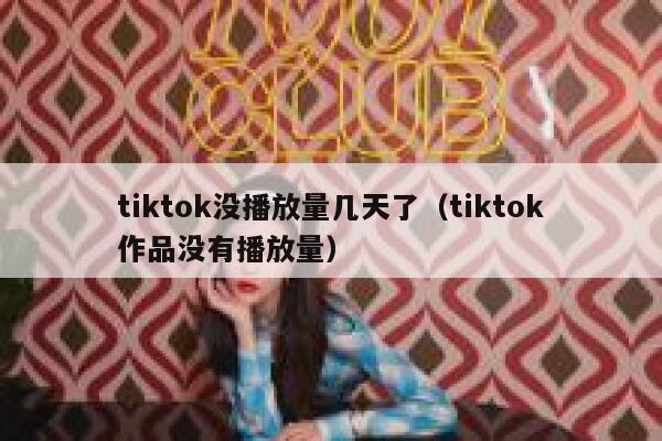 tiktok没播放量几天了(tiktok作品没有播放量) 第1张 tiktok没播放量几天了(tiktok作品没有播放量) 第1张