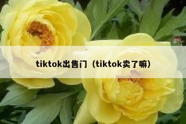 tiktok出售门（tiktok卖了嘛） 第1张