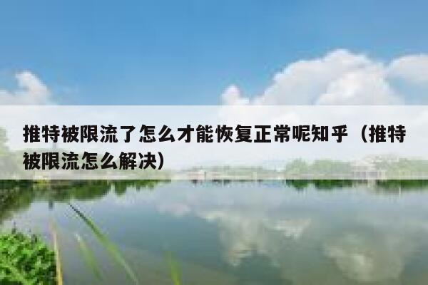 推特被限流了怎么才能恢复正常呢知乎（推特被限流怎么解决） 第1张