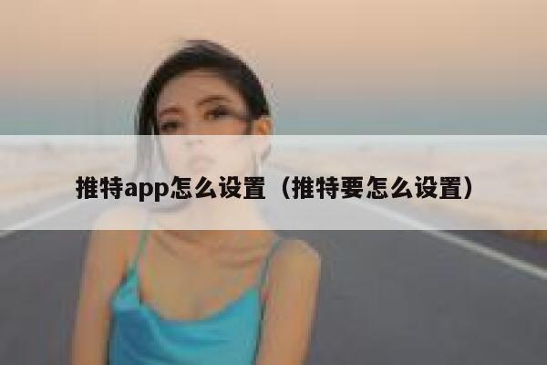 推特app怎么设置（推特要怎么设置） 第1张