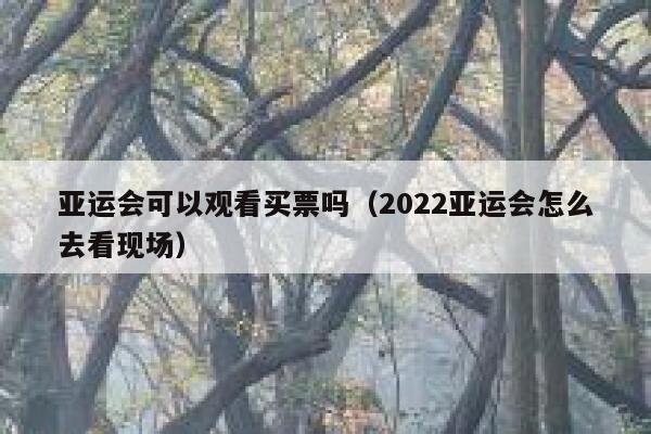 亚运会可以观看买票吗（2022亚运会怎么去看现场） 第1张