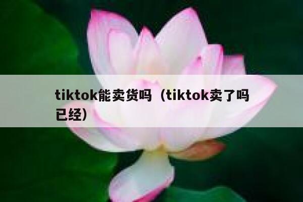 tiktok能卖货吗（tiktok卖了吗已经） 第1张