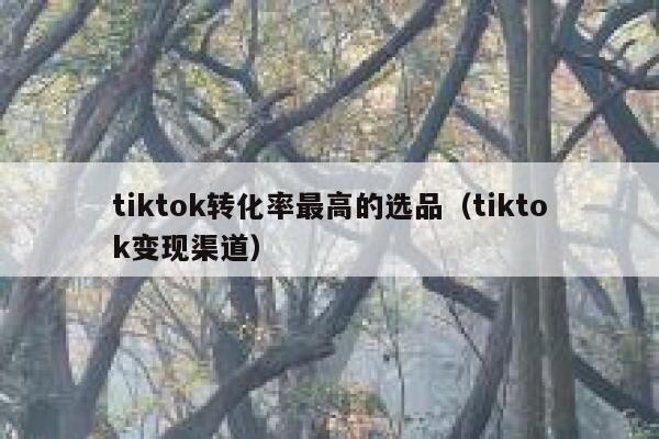 tiktok转化率最高的选品（tiktok变现渠道） 第1张